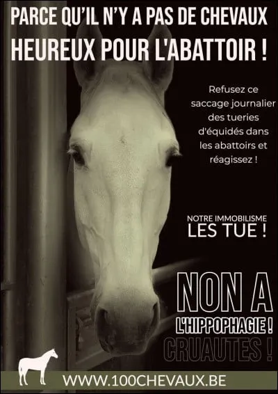 Jai donc été abattu en 2021 comme environ  chevaux.