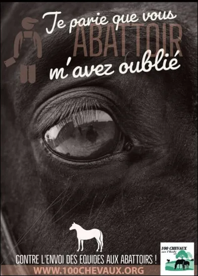 Heureusement pour mes congénères, la consommation de viande chevaline en France :