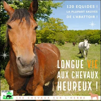 La population française consommant de la viande chevaline est plutôt :