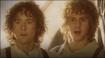 Merry et Pippin sont...