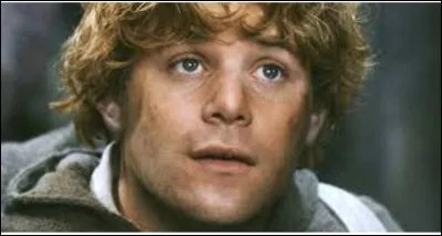 Quel est le nom de famille de Sam ?