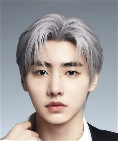 Quel est l'idole de Sunghoon ?