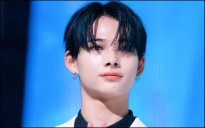 Dans quel groupe Niki a-t-il dansé lors d'un concert ?