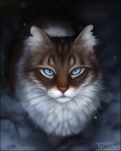 Quatrième question.
Qui préfères-tu parmi ces personnages ci-dessous ?