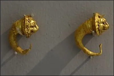 À quelle race appartient l'abondance ?