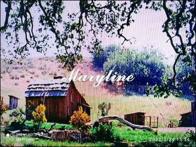 À qui Harriet veut-elle donner les anciennes chaussures de Nellie ?