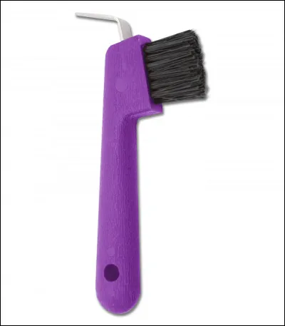 Quel est le nom de cette brosse ?