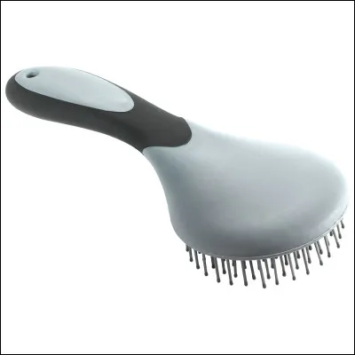 Quel est le nom de cette brosse ?