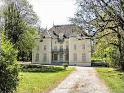Je vous emmène en Bourgogne-Franche-Comté à la découverte du château de Frénois. Petit village de 88 habitants, dans l'aire d'attraction Dijonnaise, il se situe dans le département ...