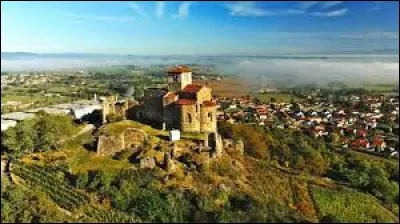 Comment appelle-t-on les habitants de Saint-Romain-le-Puy (Loire) ?