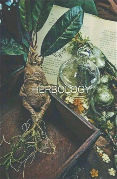 Il te demande quel cours tu as le plus hâte de commencer, que lui réponds-tu ?