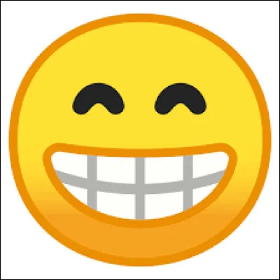 Quelle est ta principale qualité ?