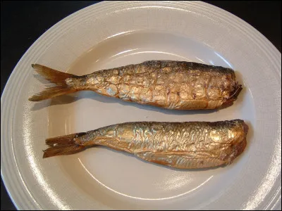 Pour Ernest Daudet, qui est excommunié, en 2015 ?