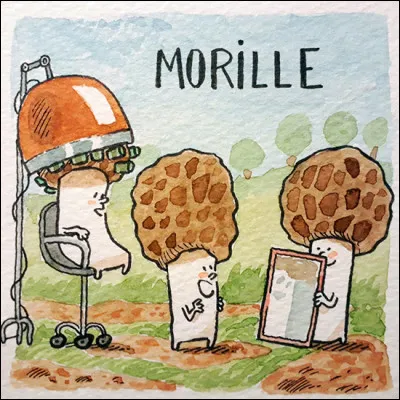 À quel plat ou quelle préparation, la morille est-elle inhérente ?