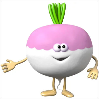 Comment est nommée une préparation à base de navets ?