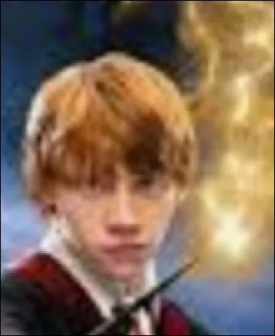 Combien Ron a-t-il de frères ?