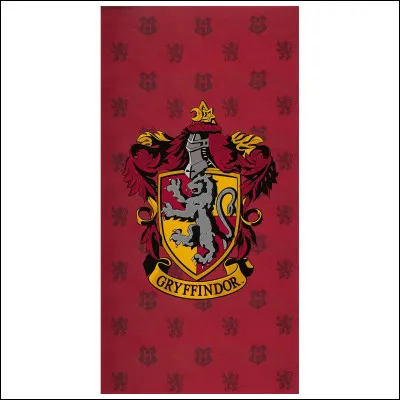 Qui est le préfet de Gryffondor pendant la première année de Harry à Poudlard ?