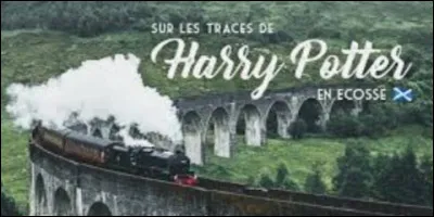 Dans quelle maison se trouve Angelina Johnson ?