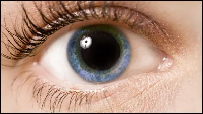 Comment peut-elle être provoquée (la mydriase, bien sûr) ?