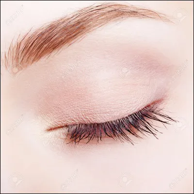 Si une personne à des paupières qui battent vite après t'avoir raconté une anecdote, que cela peut-il signifier ?