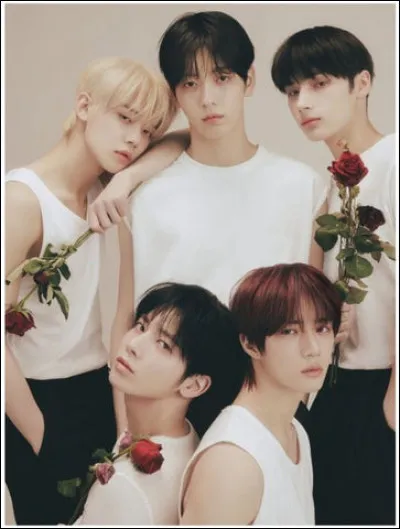 Quel est le nom du fandom de TXT ?