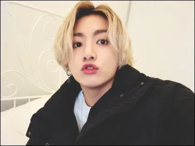 Quelle est sa couleur préférée ?