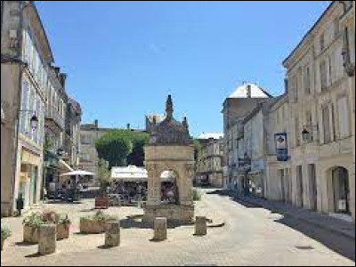 Sous-préfecture de son département, dans l'ancienne province de Saintonge, Saint-Jean-d'Angély se situe ...