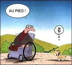 A votre avis , quel est son rcipient prfr ?