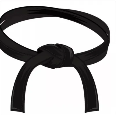 Il y a une ceinture après la noire.