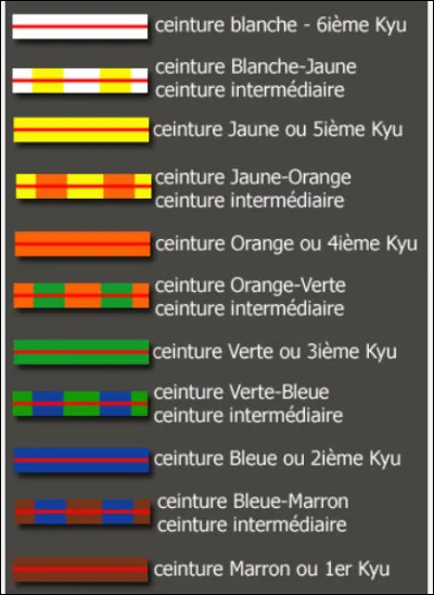 De quelle couleur est cette écriture ?