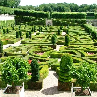 Quelle plante grimpante de la famille des araliac&eacute;es est souvent utilis&eacute;e dans l�art topiaire ?