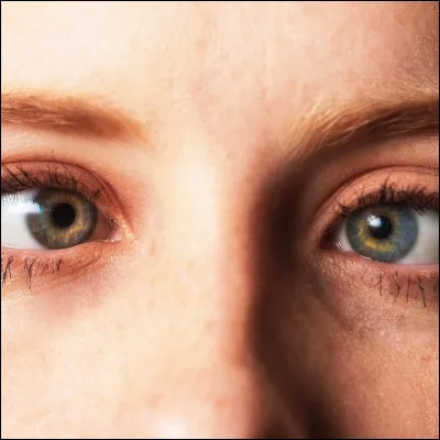 Quels l&eacute;zards se caract&eacute;risent par leurs yeux ind&eacute;pendamment mobiles l�un de l�autre ?