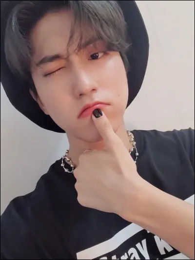 Comment Han (Stray Kids) a-t-il failli mourir petit ?