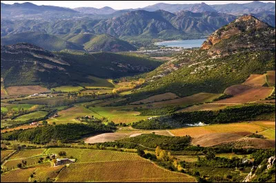 Et (avec modération) un petit verre de vin ! 
Quelle est l'origine de celui correspondant à cette description : AOC depuis 1968, issu du nielluccio noir.
