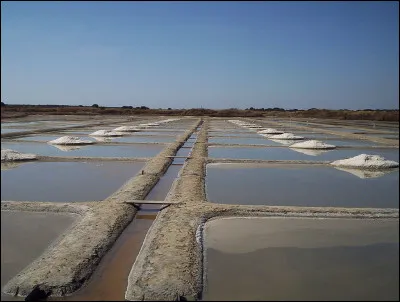 Quoi de plus valorisant que le Label Rouge obtenu en 1991 pour le gros sel et le sel moulu ? 
De quelles salines, très vieilles salines du IIIe siècle, à l'essor datant du Xe siècle grâce aux moines de Batz et, étant entrées dans une réelle démarche de qualité en 1971, parle-t-on ici ?