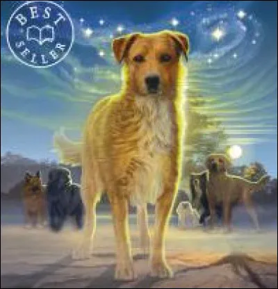 Quel est le comble pour un chien ?