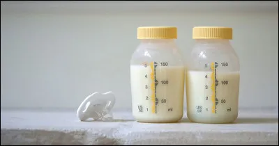Quel nom donne-t-on aux banques de lait maternel ?