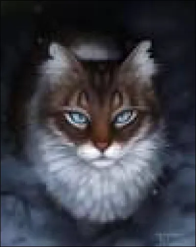 Sélectionnez son chef et son lieutenant actuel.