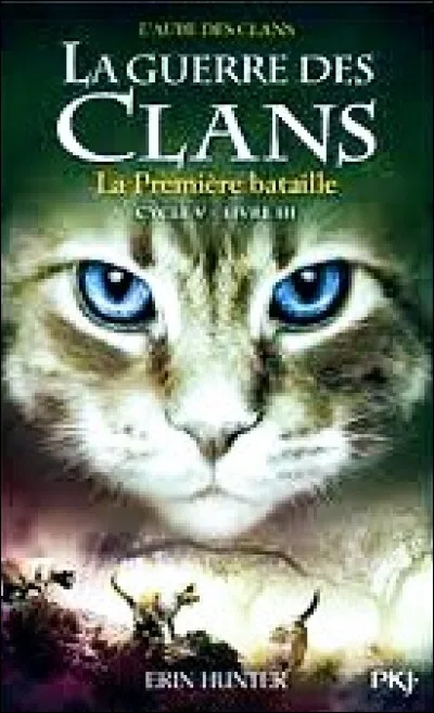 Maintenant, ses deux guérisseuses lors du hors-série le ''Voyage d'Aile de Faucon''.