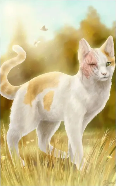 Cur Blanc est la sur de Museau Cendré.