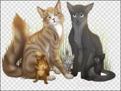 Plume de Jais a eu trois compagnes. Ce sont :