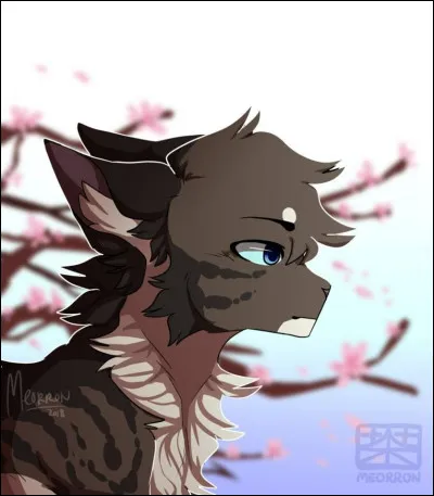 Combien y a-t-il de clans ?