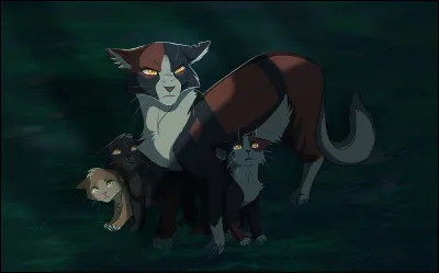 Quel est le caractère du Clan de l'Ombre ?