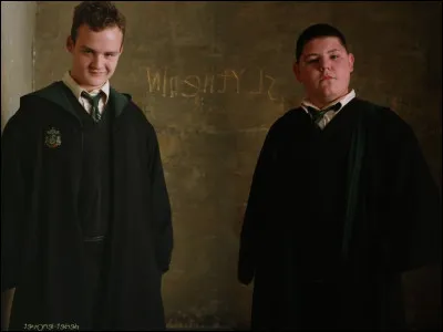 Comment s'appellent les deux amis de Malfoy ?
