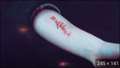 Quel est ton statut de sang ?