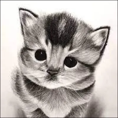 De quoi se composent les crayons "fusain", qu'utilisent les dessinateurs, portraitistes... ? (en photo, dessin au fusain, artiste non connu)