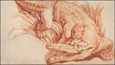 Quel est le type de crayon à dessiner dont les trois catégories sont Sépia, Medicis et XVIIIème ? (en photo, François Boucher, étude Crocodile entre les roseaux)