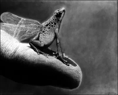 Quel type de crayon, très utilisé de nos jours, la firme allemande Schwan a-t-elle inventé en 1927 ? (en photo dessin au crayon ultra réaliste de l'artiste sud-africain Jono Dry)