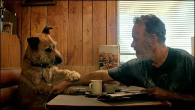 ... est la plateforme permettant de voir un film post-apocalyptique porté par Tom Hanks et un chien ?