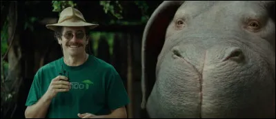 Laquelle de ces plateformes diffuse un film porté par Tilda Swinton et où la vie d'un animal exceptionnel est menacée ?